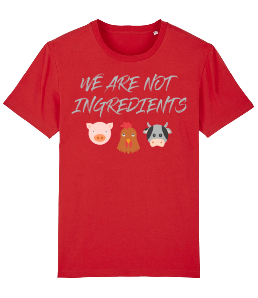Vegetarian - Männer Bio T-Shirt Stanley Stella - Rot - Vorne