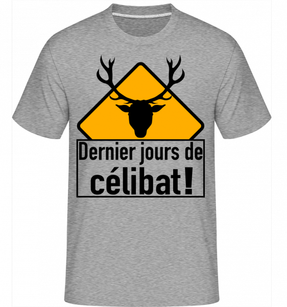 Célibat -  T-Shirt Shirtinator homme - Gris chiné - Devant